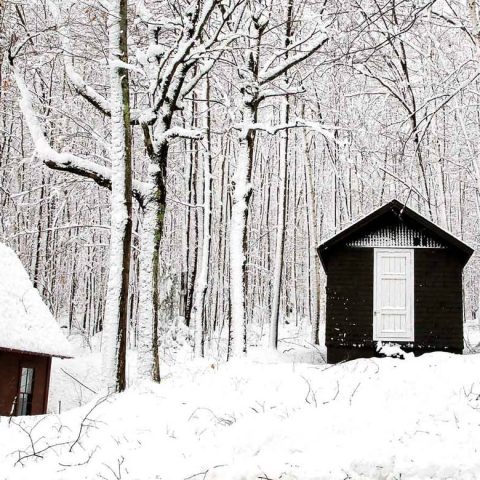 1912 Ice House