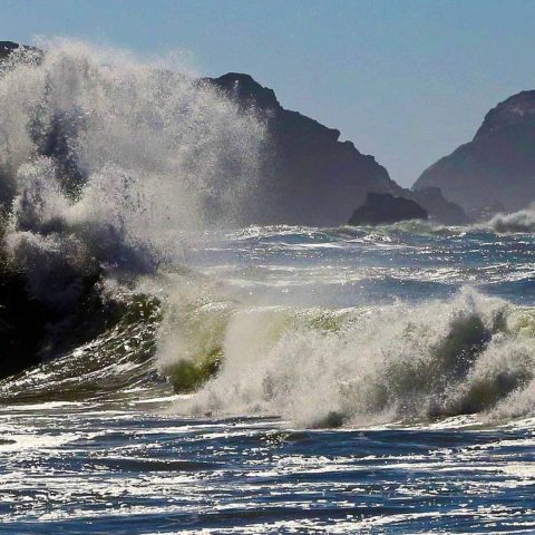 Angry Sea, Goat Rock Beach, Calif