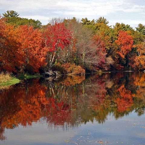 Assabet River in Fall, Stow, MA