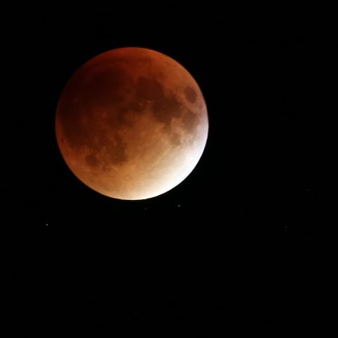 Blood Moon
