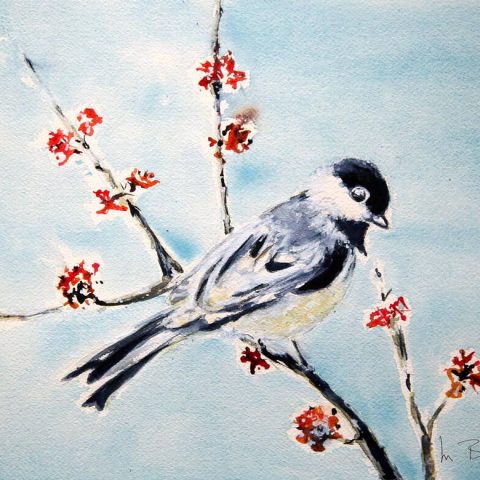 Chickadee on the Quince