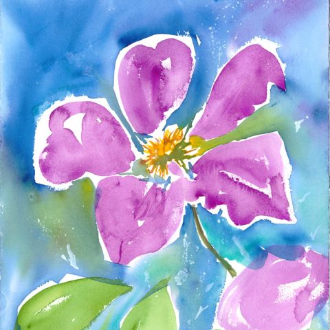 Clematis