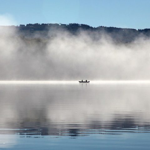 Foggy Morning Fisherman