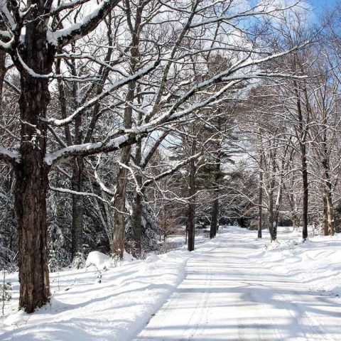 Fells Road in Winter