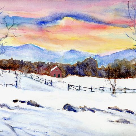 Fences in the Snow