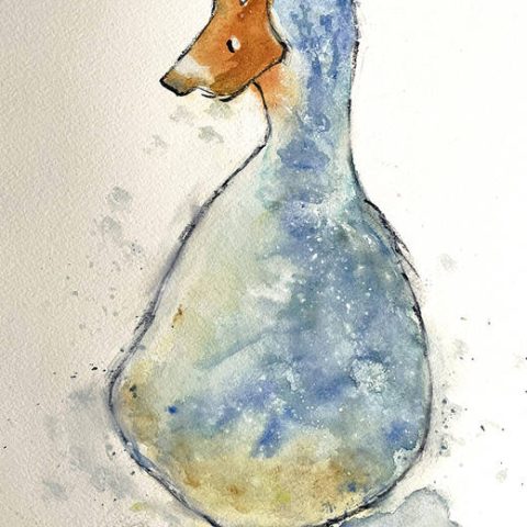 Goose