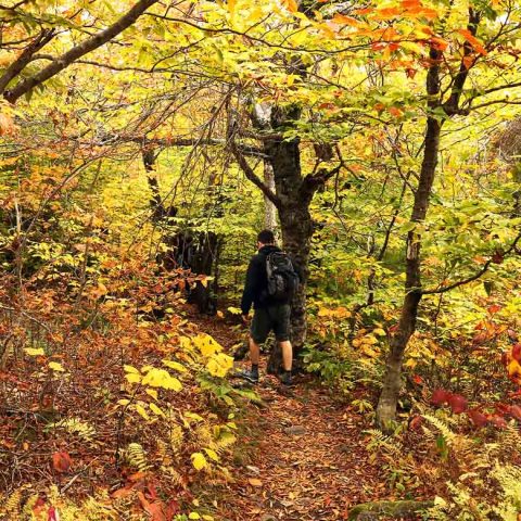 Mount Sunapee Hike