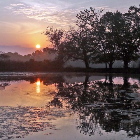 Mt. Hope Farm RI Sunrise