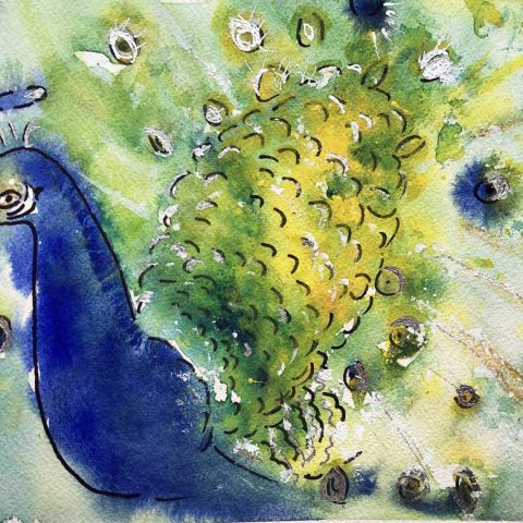Peacock