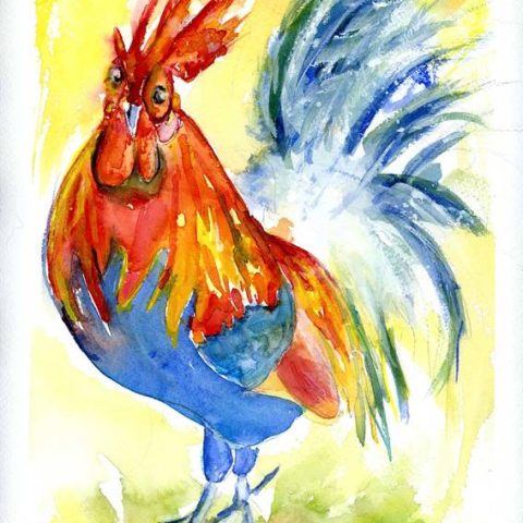 Rooster