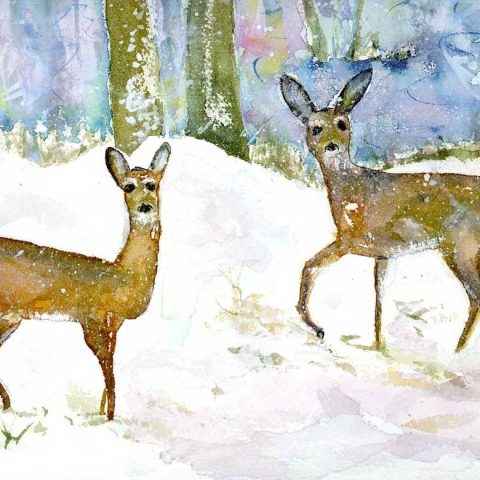 Snow Deer