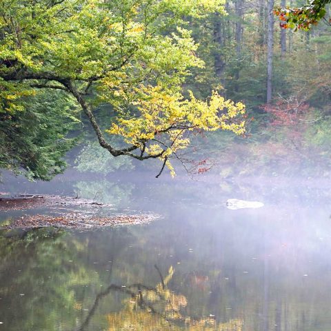 Sugar River