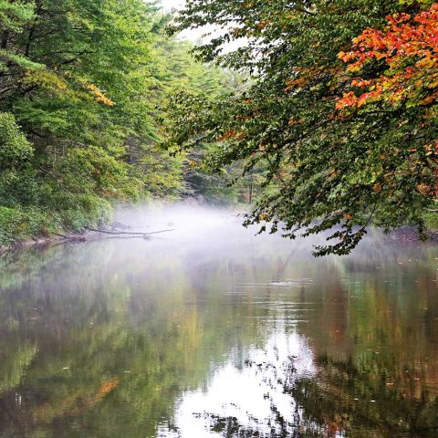 Sugar River North Branch