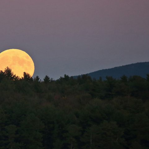 Super Full Moon Rising