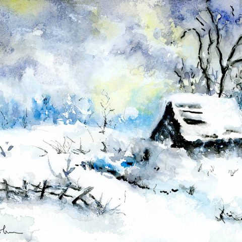 The Shed