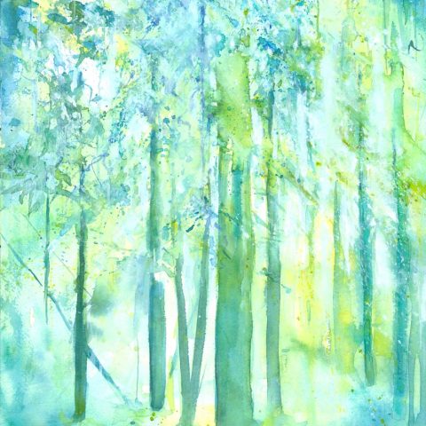 Turquoise Woods