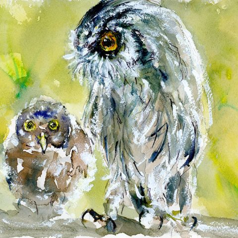 Two Owls