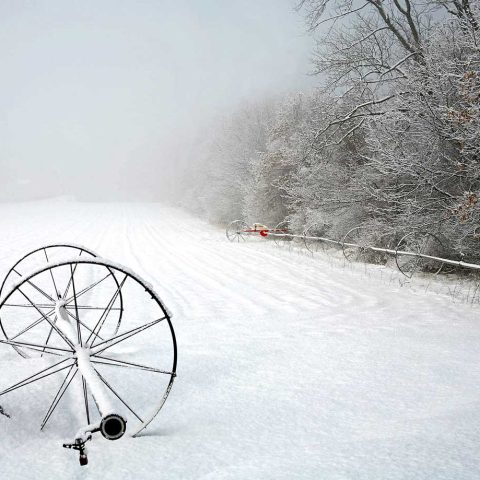 Waiting for Spring, Sudbury, MA