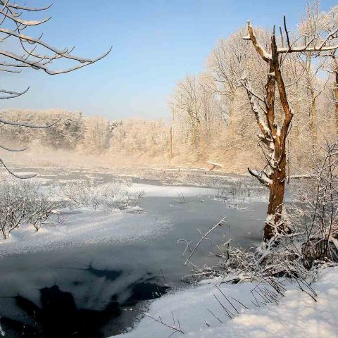 Water Row Winter Landscape 3, Sudbury, MA