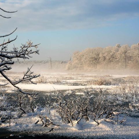 Water Row Winter Landscape, Sudbury, MA