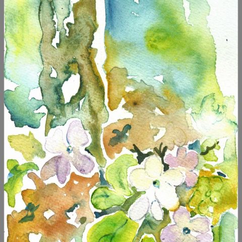 Spring Woods