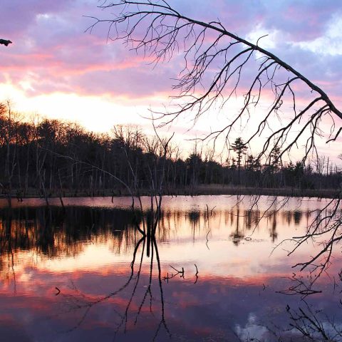 Wetland Sunset, Water Row, Sudbury