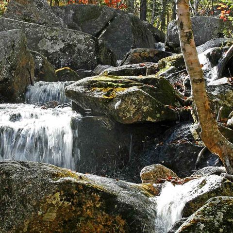 Zealand Falls, Zealand Notch, NH
